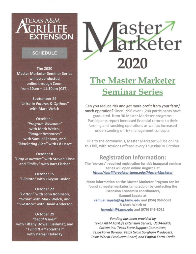 Picture of Master Marketer Flyer