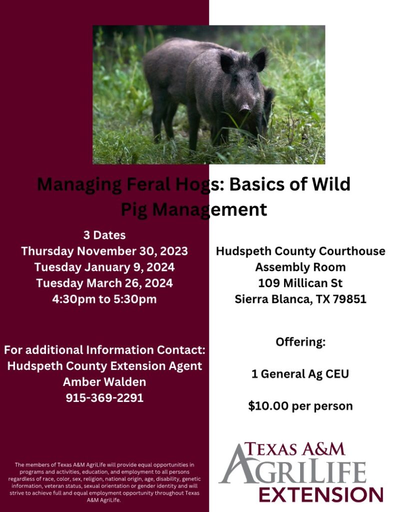 Picture of Feral Hog Management Flyer